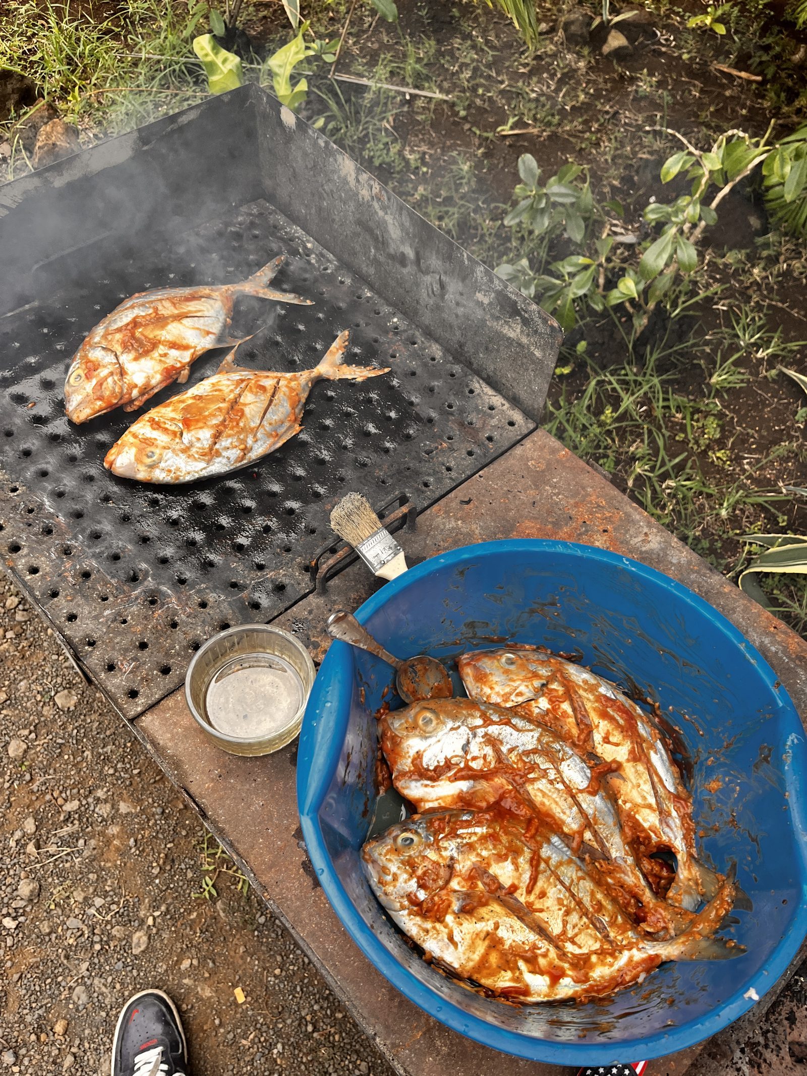 Poisson grillé sur braise, préparé au Makako Lodge